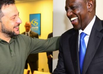 Ukraine to set up grain hub in Kenya as Ruto holds talks with Zelenskyy
