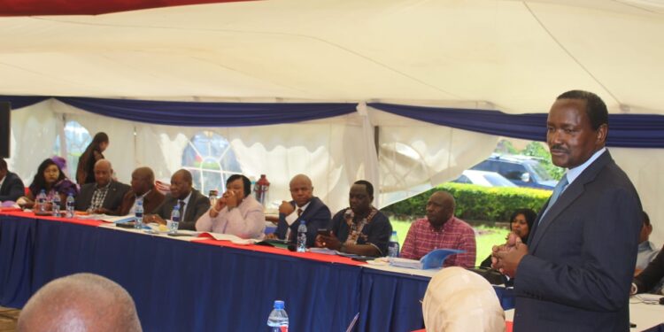 Ruto’s foreign policy has failed and Kenya is losing ground – Kalonzo