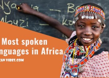 BITANGE NDEMO: Harnessing power of AI to unlock Africa’s linguistic diversity