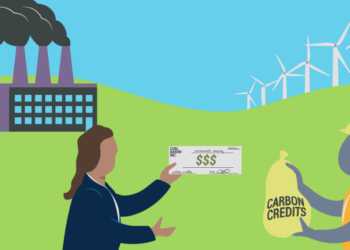 NDEMO and WAKESHO: Harnessing power of carbon credits in Africa