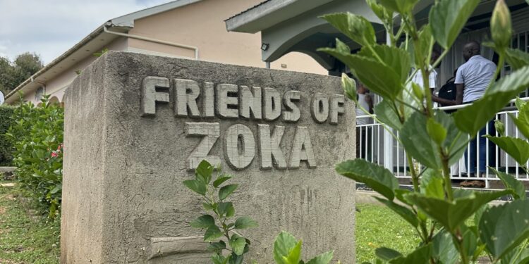 Friends of Zoka: From WhatsApp group to forest defenders movement