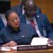 DRC asks UNSC to sanction Rwanda, order withdrawal of troops