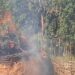 Sengwer fear another wave of forceful evictions from Embobut underway