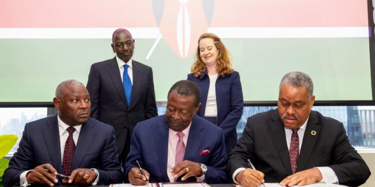 Ruto moves to tap diaspora billions through new investment platform