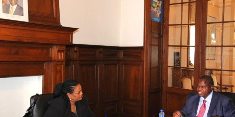 Njoki Ndung’u steps up diplomatic lobbying in Brussels for ICC judge job