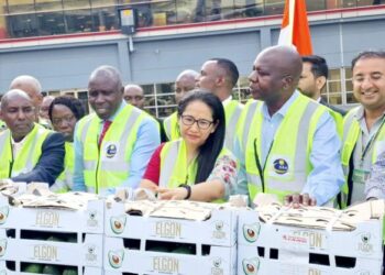 Kenya starts avocado exports to India, eying 1.4 billion consumers