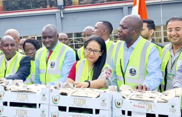 Kenya starts avocado exports to India, eying 1.4 billion consumers