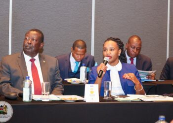 Permanent residence fees for Kenyan kids born abroad an error, Diaspora PS Njogu says