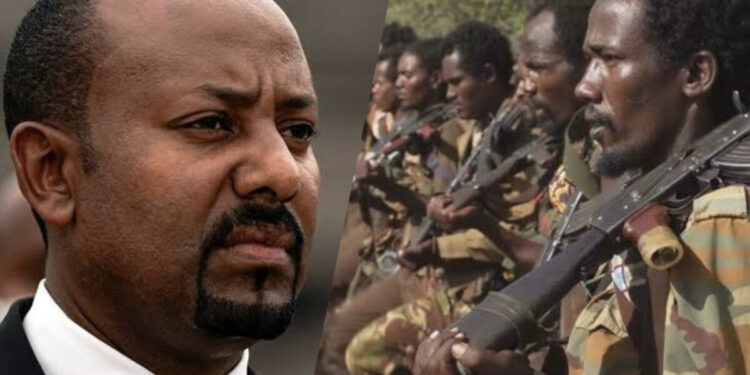 What is missing in failed Ethiopia-Oromo Liberation Front peace pacts