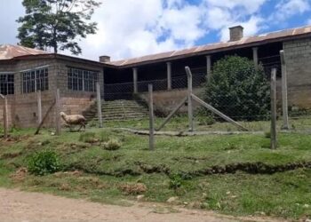 The Kinyahwe colonial court at centre of battle for museum project in Nyandarua