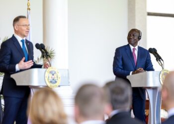 Ruto invites Polish investors to use Mombasa, Lamu ports as logistics hubs