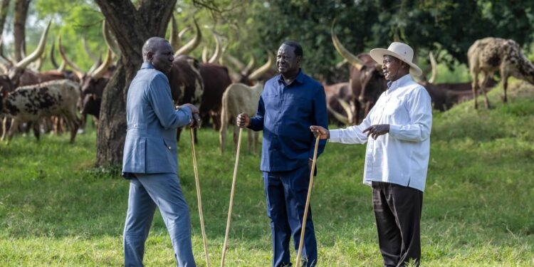 Ruto, Museveni, Raila hold talks in Uganda as lobbying for AU job intensifies