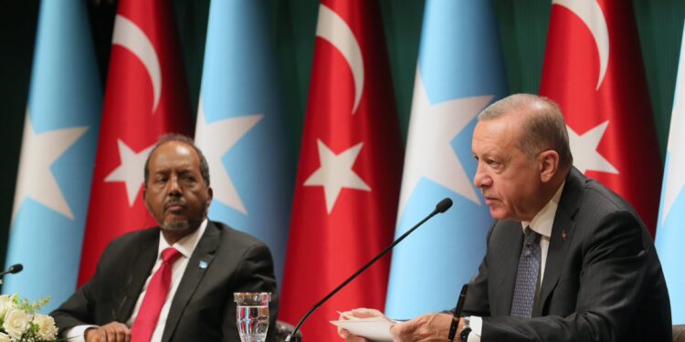 Somalia ratifies defence deal with Türkiye amidst tensions with Ethiopia