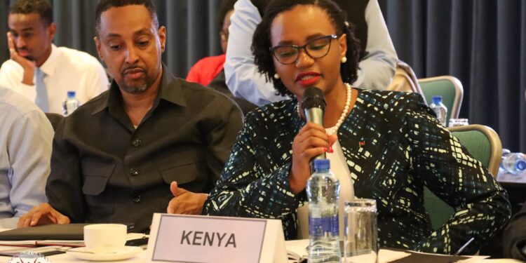 Kenya calls for holistic approach to achieve full potential of EAC diaspora