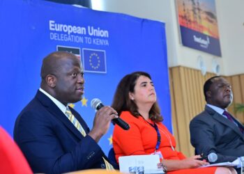 Kenya-EU discuss implementation strategy for EPA trade deal