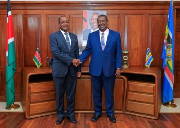 Trade, KQ direct flights, Raila’s AU bid top agenda in Mudavadi trip to Namibia