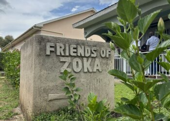 Friends of Zoka: From WhatsApp group to forest defenders movement
