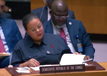 DRC asks UNSC to sanction Rwanda, order withdrawal of troops