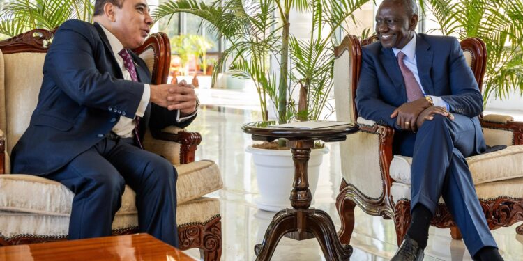 Ruto’s Egypt visit plan back on track as he meets envoy