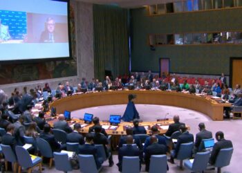 DRC asks UNSC to sanction Rwanda, order withdrawal of troops