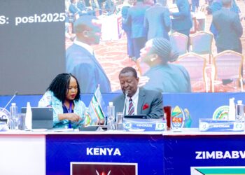 EAC-SADC Summit to insist on mediation to solve DRC crisis