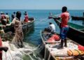 Tanzanian police beat Kenyan fishers, force them to eat raw fish in Vanga
