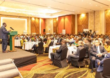 State woos diaspora to invest in infrastructure amid cash constraints