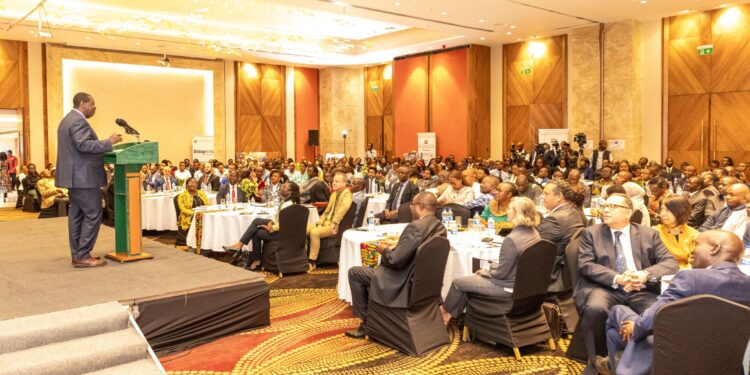 State woos diaspora to invest in infrastructure amid cash constraints