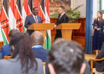 Mudavadi warns of heightened terror threats over wars in Horn of Africa, Middle East