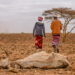 3.5 million Kenyans face hunger as drought worsens, aid funding shrinks