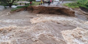 Climate crisis hits Kenya’s economy as new report details rising losses