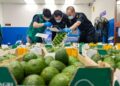Kenya’s avocado exports get China boost as zero-tariff policy kicks in