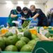 Kenya’s avocado exports get China boost as zero-tariff policy kicks in