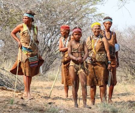 From indigenous exclusion to co-management: Botswana’s lesson for Kenya