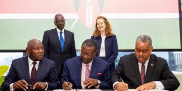Ruto moves to tap diaspora billions through new investment platform
