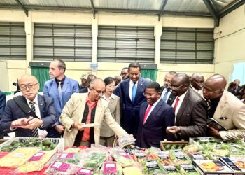 Kenyan coffee exports to China surge 140% after zero-tariff deal