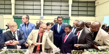 Kenyan coffee exports to China surge 140% after zero-tariff deal