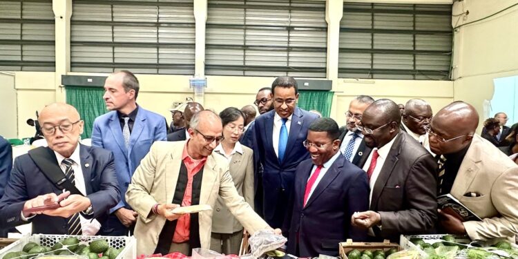 Kenyan coffee exports to China surge 140% after zero-tariff deal