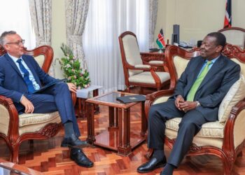 Kenya presses Germany to deliver Sh7.8bn development cooperation commitments