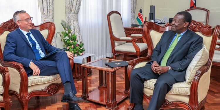 Kenya presses Germany to deliver Sh7.8bn development cooperation commitments