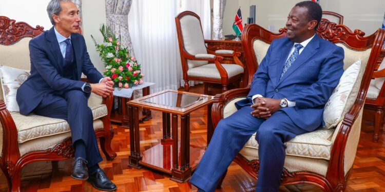 Kenya, IFAD push climate-resilient farming, higher incomes for smallholders